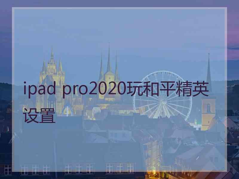 ipad pro2020玩和平精英设置