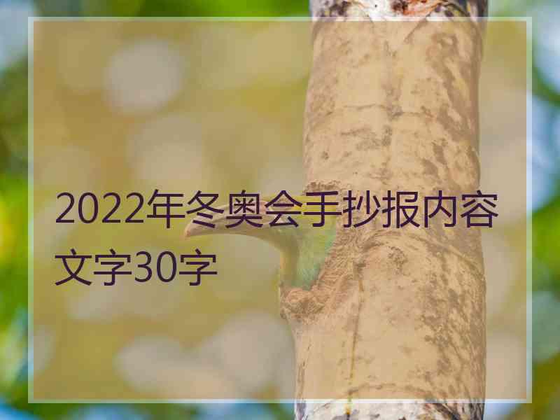 2022年冬奥会手抄报内容文字30字