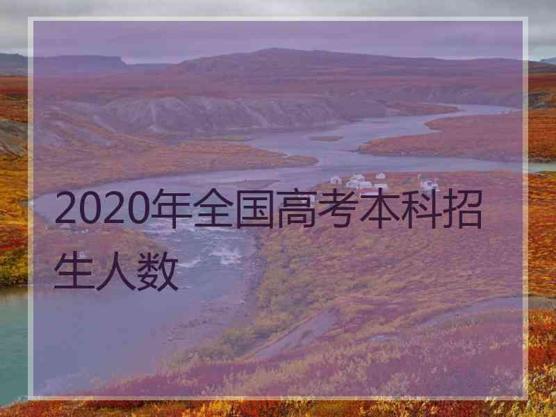 2020年全国高考本科招生人数