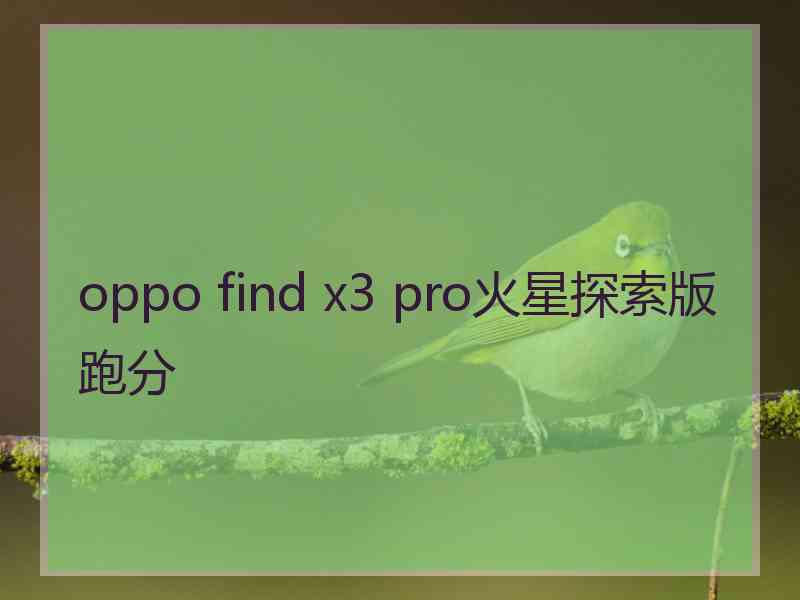 oppo find x3 pro火星探索版跑分