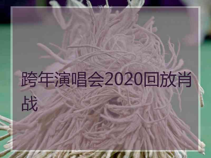 跨年演唱会2020回放肖战