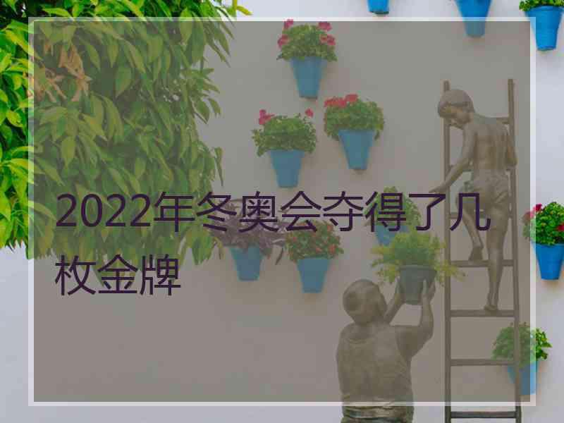 2022年冬奥会夺得了几枚金牌