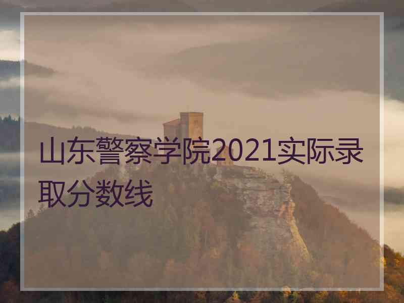 山东警察学院2021实际录取分数线