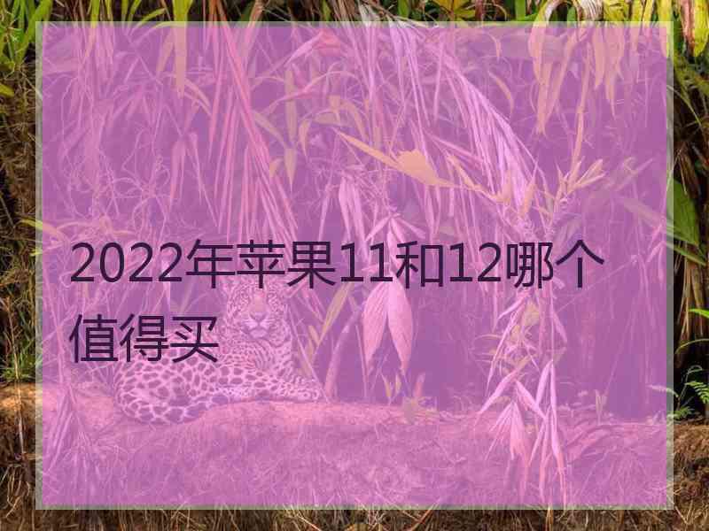 2022年苹果11和12哪个值得买