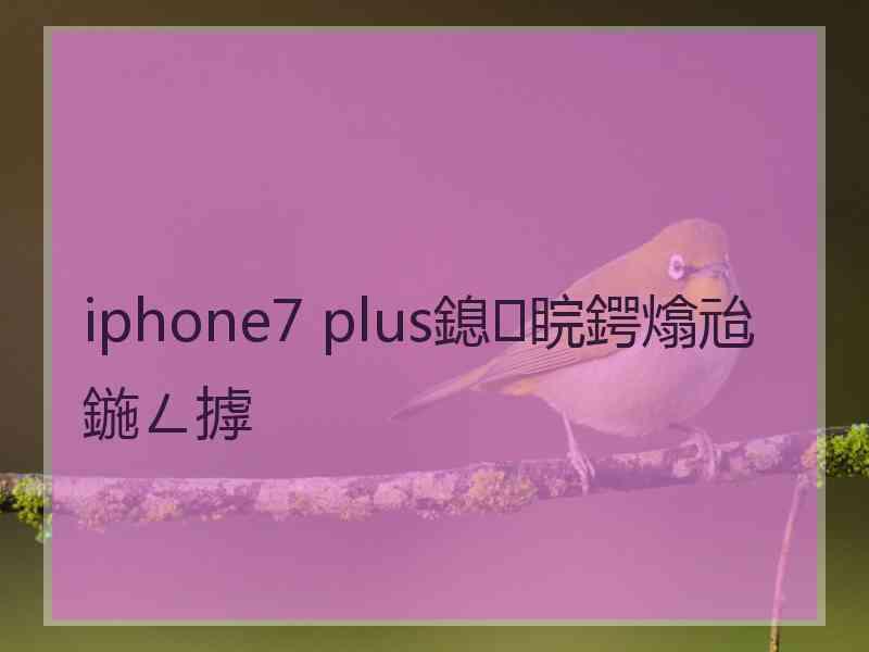 iphone7 plus鎴睆鍔熻兘鍦ㄥ摢