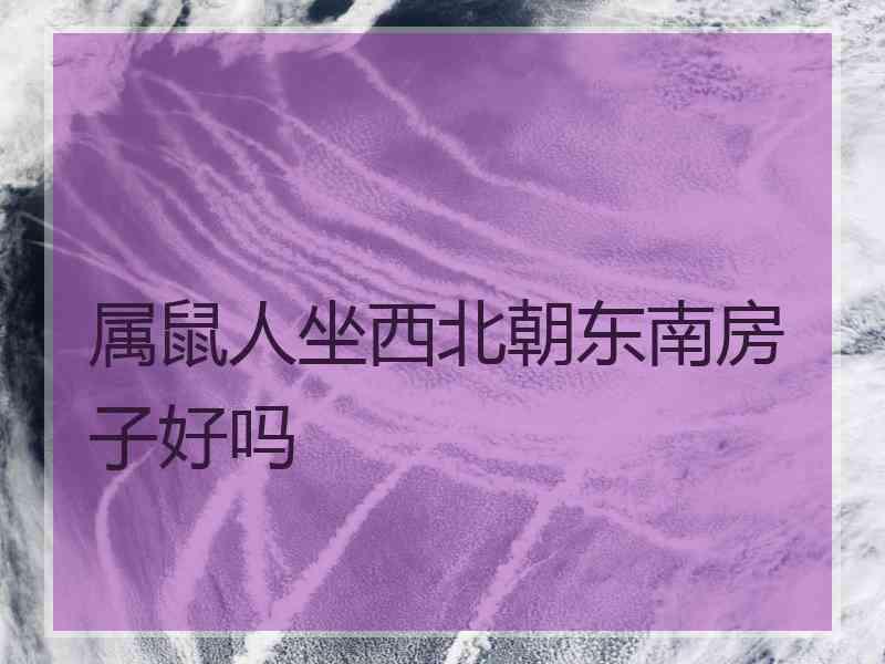 属鼠人坐西北朝东南房子好吗