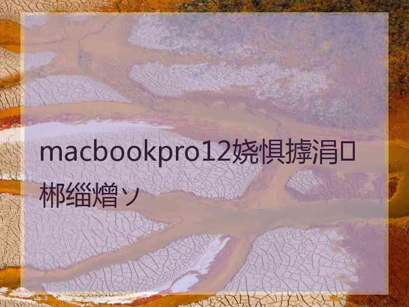 macbookpro12娆惧摢涓郴缁熷ソ