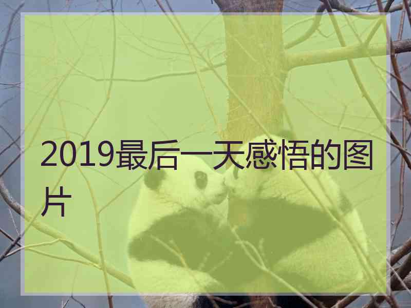 2019最后一天感悟的图片