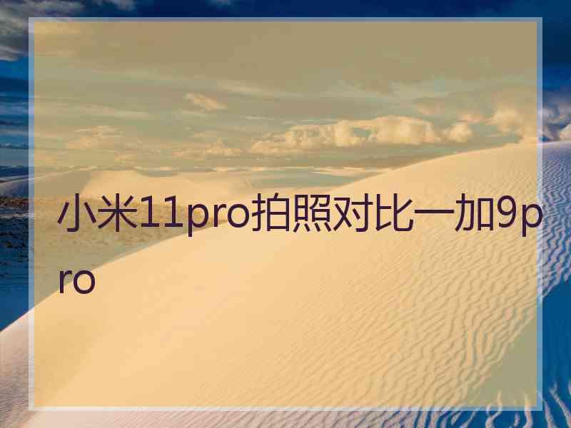 小米11pro拍照对比一加9pro