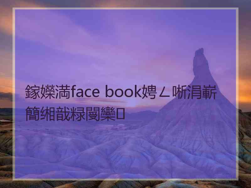 鎵嬫満face book娉ㄥ唽涓嶄簡缃戠粶閿欒