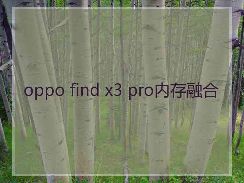 oppo find x3 pro内存融合