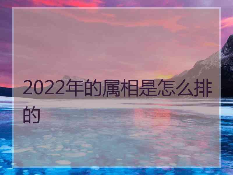 2022年的属相是怎么排的