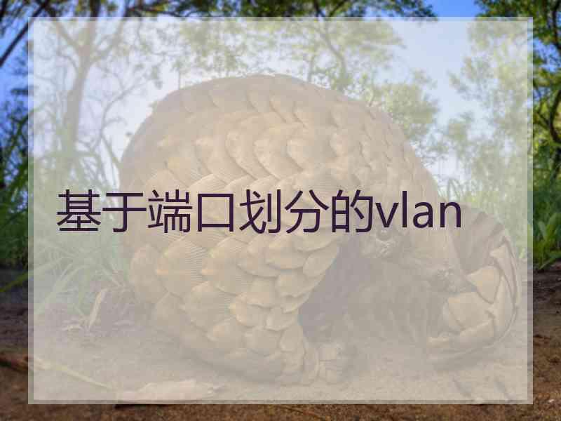 基于端口划分的vlan