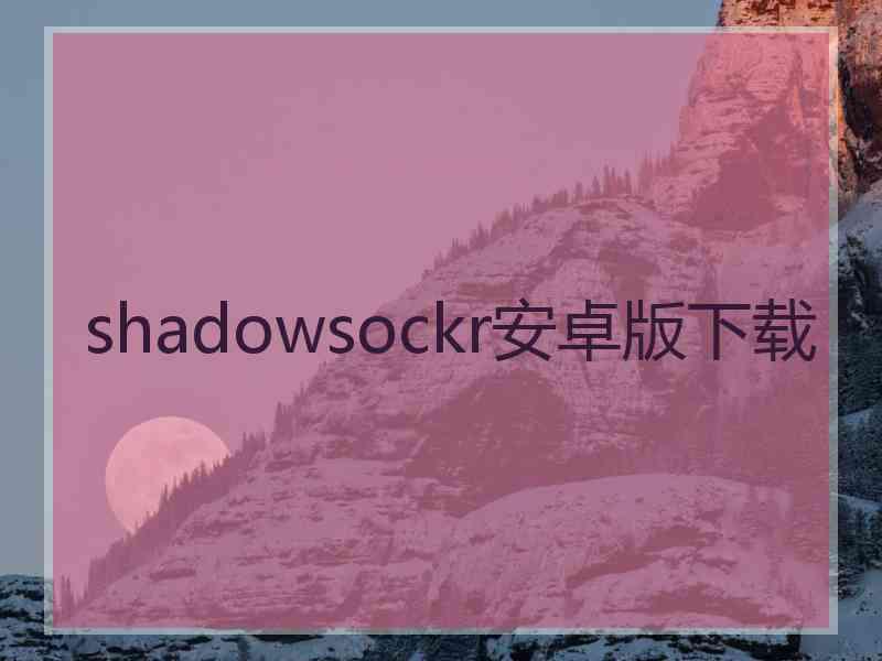 shadowsockr安卓版下载