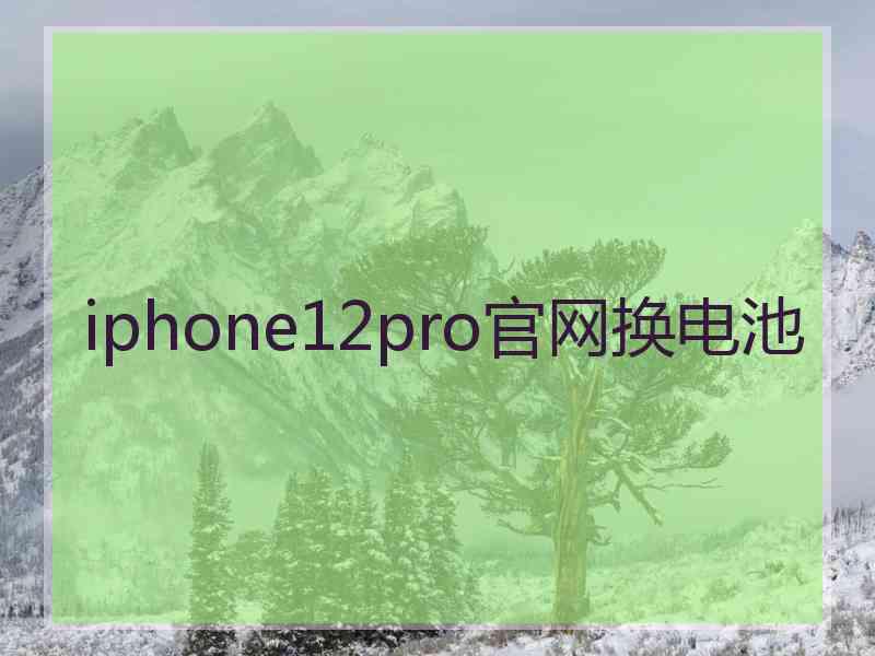 iphone12pro官网换电池