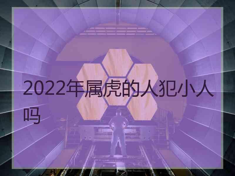 2022年属虎的人犯小人吗