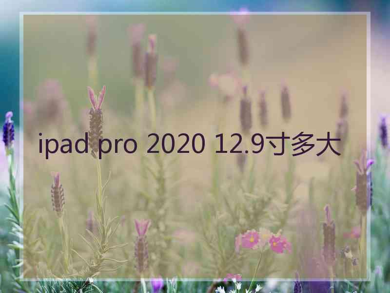 ipad pro 2020 12.9寸多大