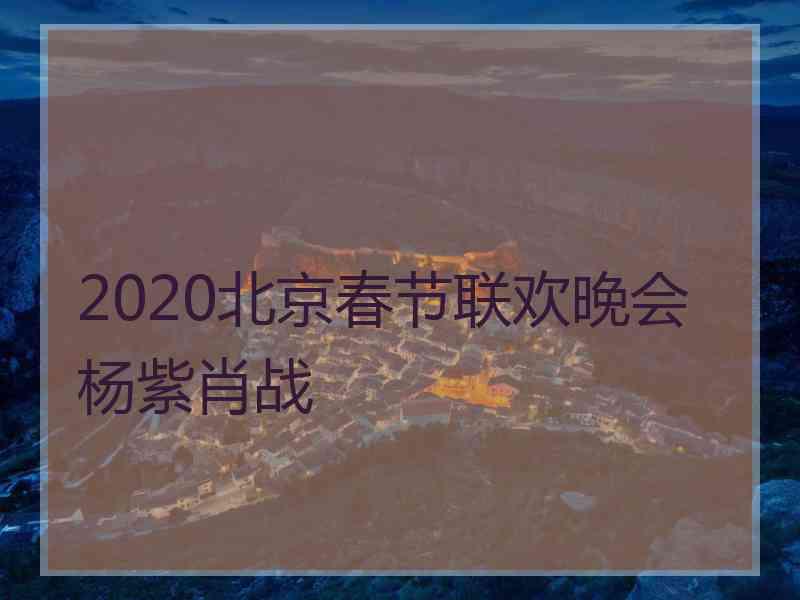 2020北京春节联欢晚会杨紫肖战