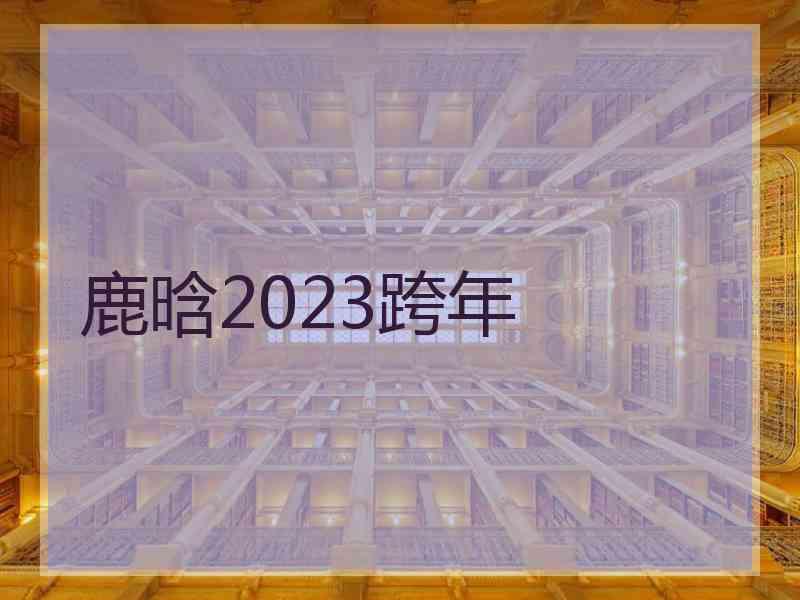 鹿晗2023跨年