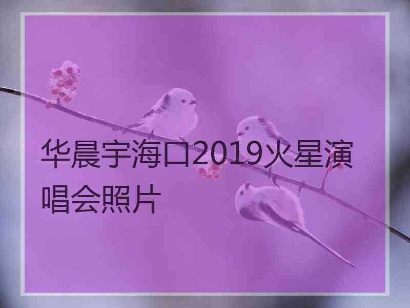 华晨宇海口2019火星演唱会照片