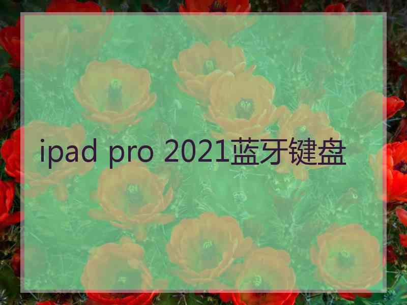 ipad pro 2021蓝牙键盘