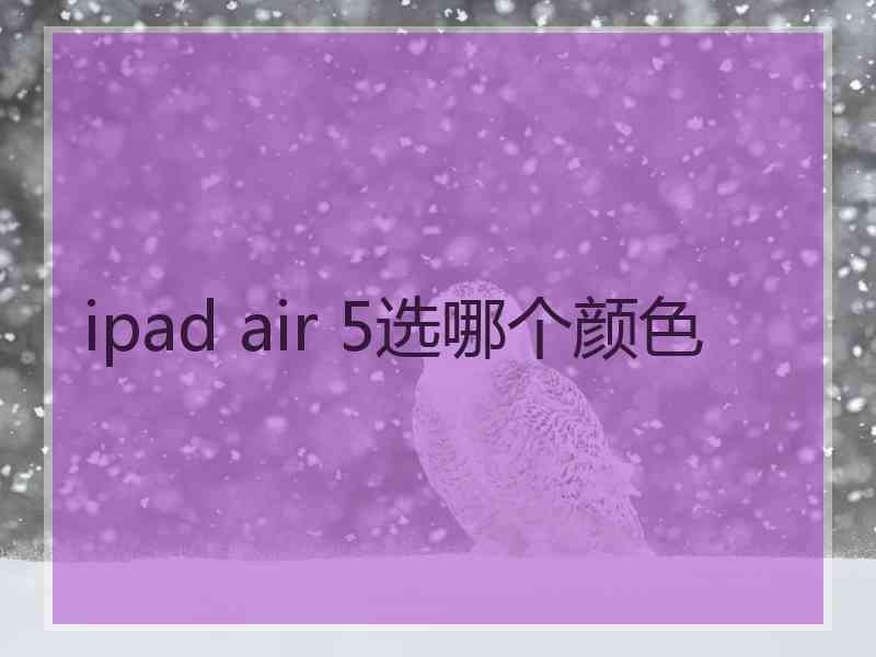 ipad air 5选哪个颜色