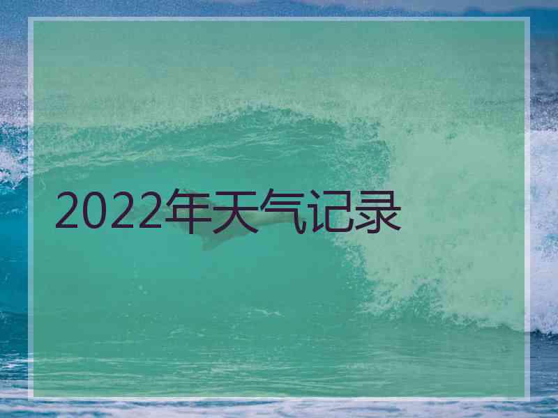 2022年天气记录