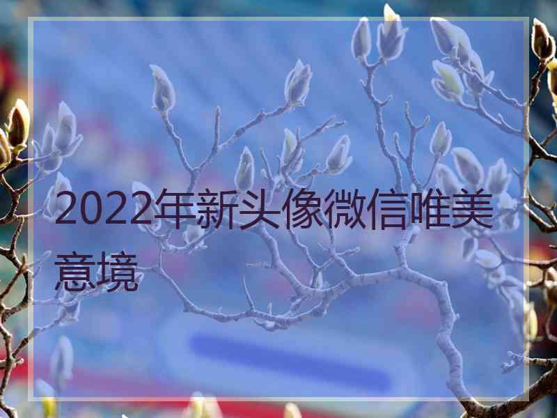 2022年新头像微信唯美意境