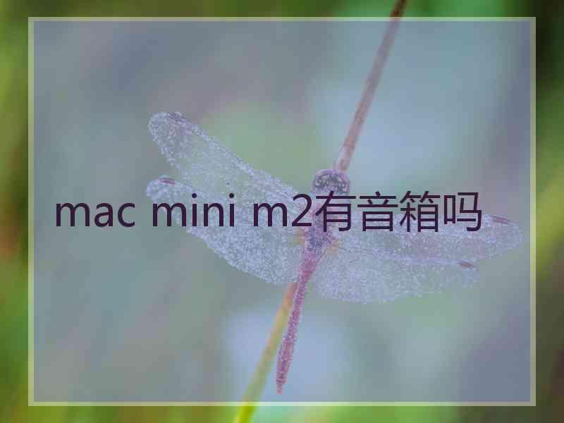 mac mini m2有音箱吗