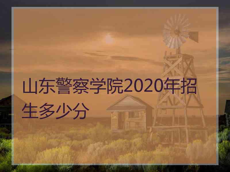 山东警察学院2020年招生多少分