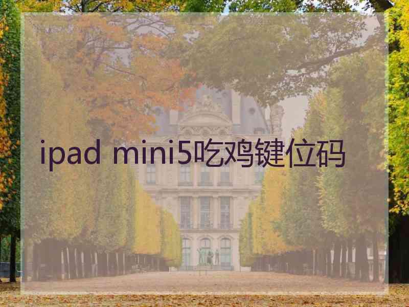 ipad mini5吃鸡键位码