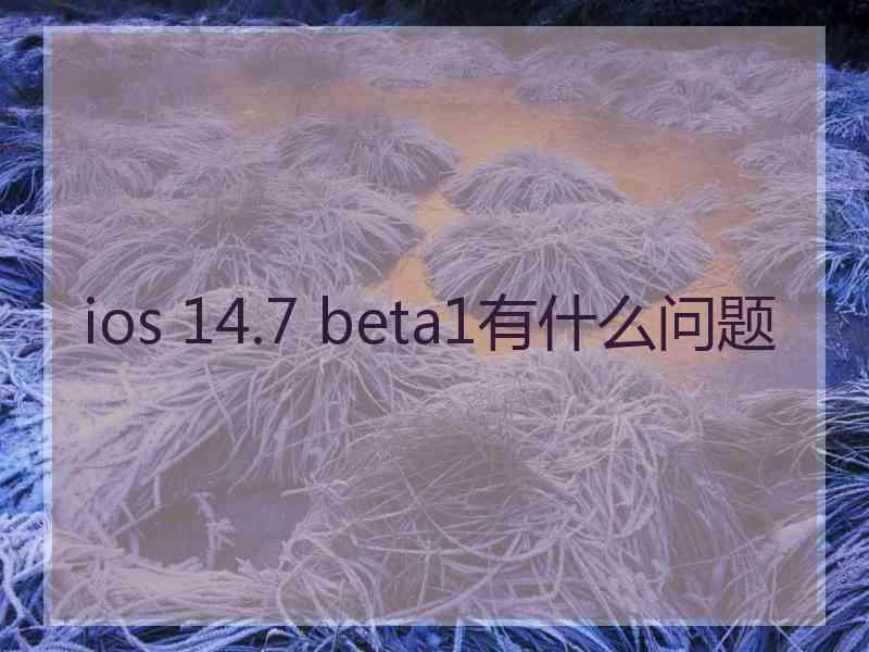 ios 14.7 beta1有什么问题