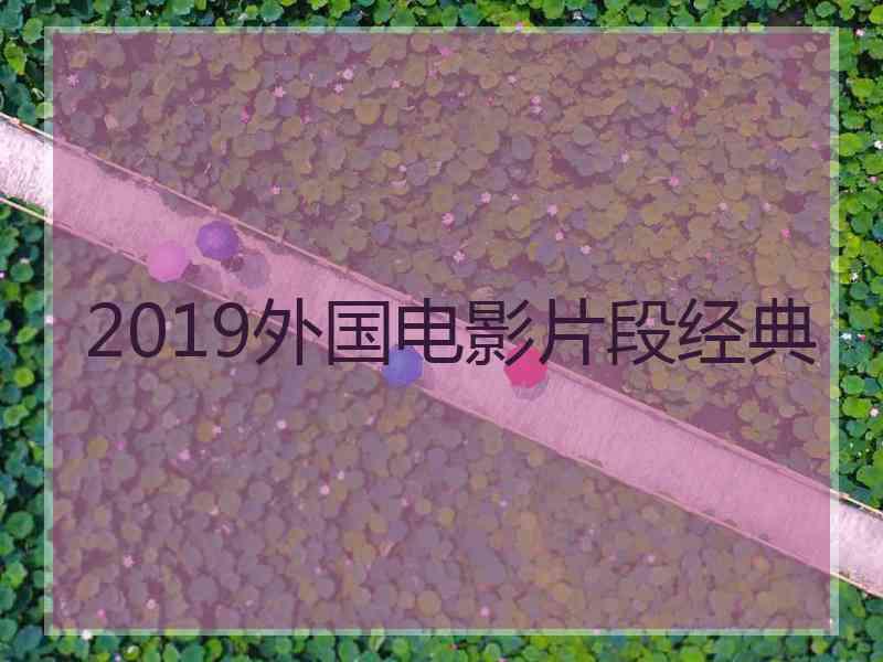 2019外国电影片段经典