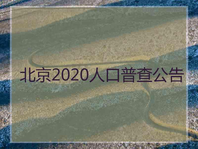 北京2020人口普查公告