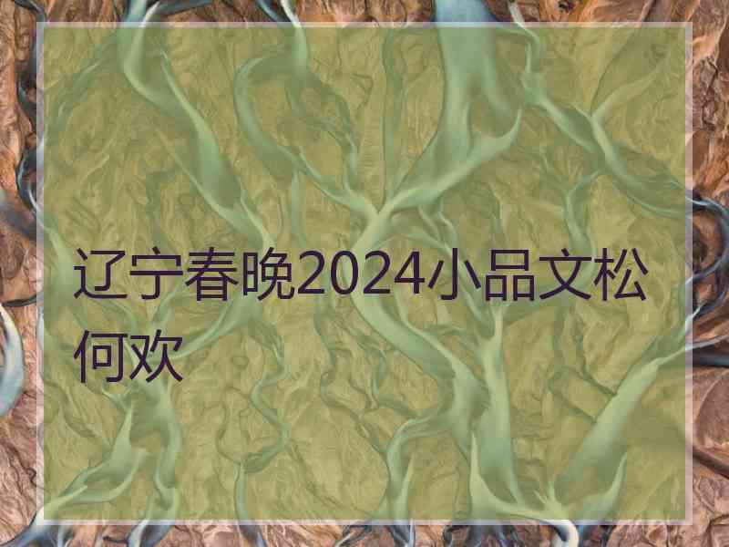 辽宁春晚2024小品文松何欢