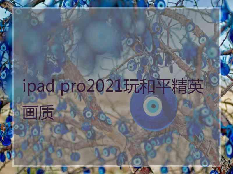 ipad pro2021玩和平精英画质