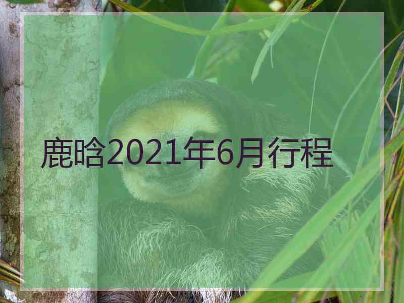 鹿晗2021年6月行程