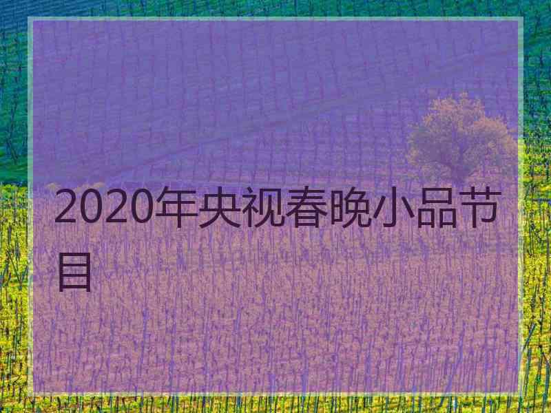 2020年央视春晚小品节目