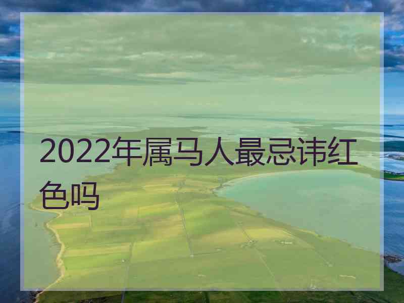 2022年属马人最忌讳红色吗