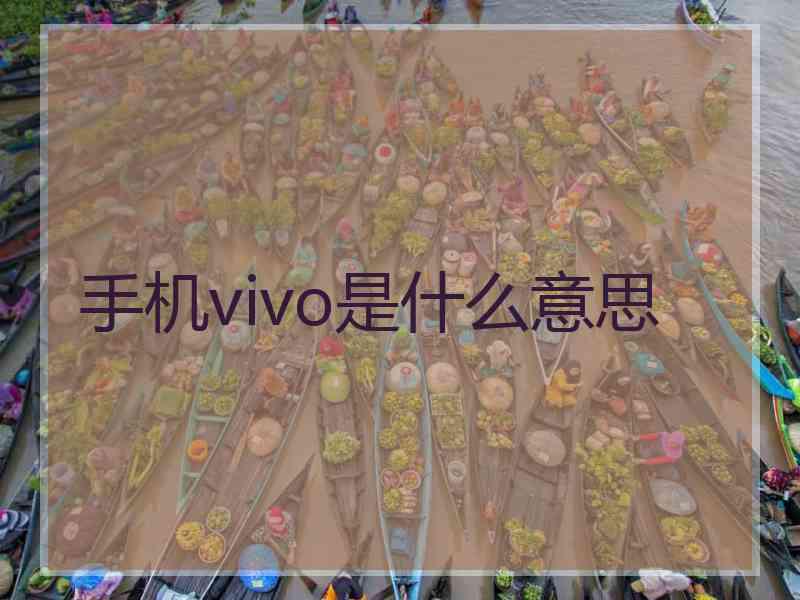 手机vivo是什么意思