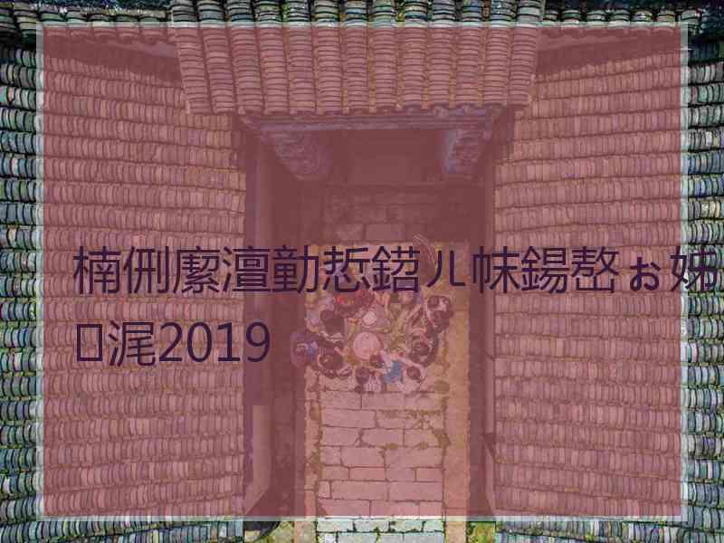 楠侀緳澶勭悊鍣ㄦ帓鍚嶅ぉ姊浘2019