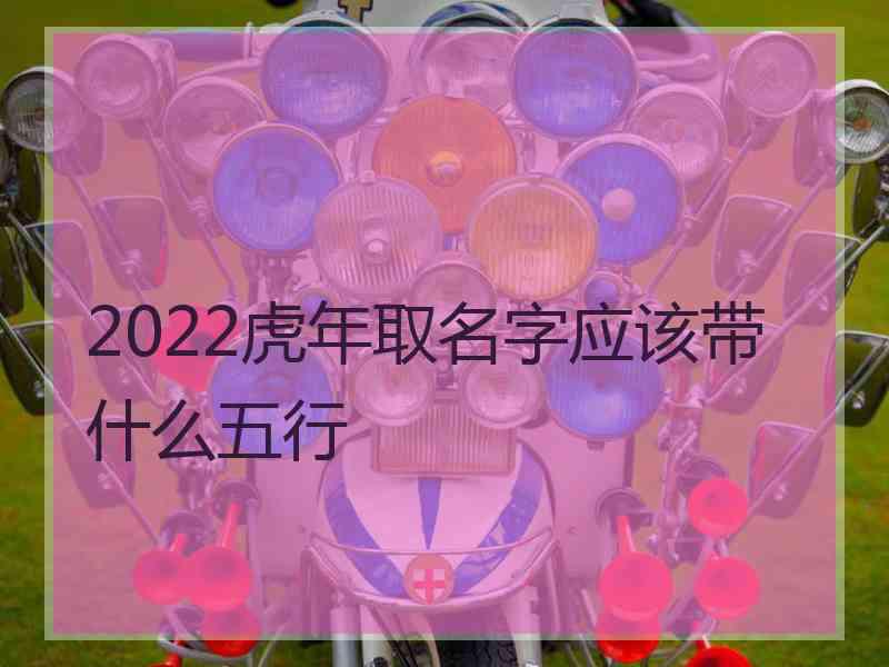 2022虎年取名字应该带什么五行