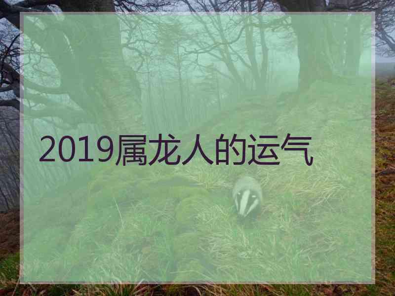 2019属龙人的运气