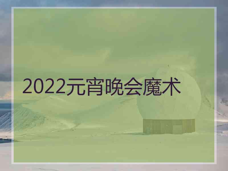 2022元宵晚会魔术