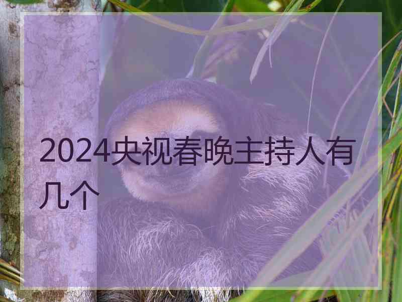 2024央视春晚主持人有几个