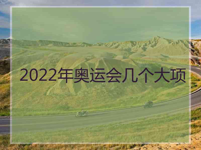 2022年奥运会几个大项