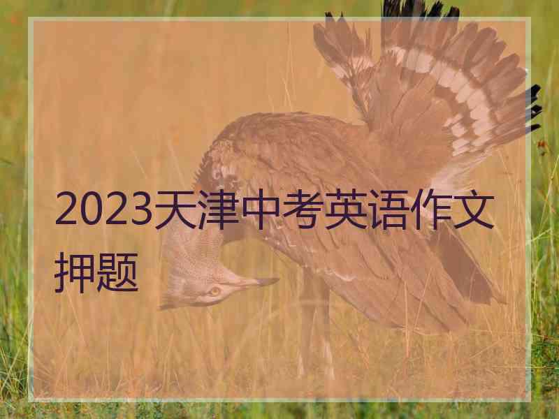 2023天津中考英语作文押题