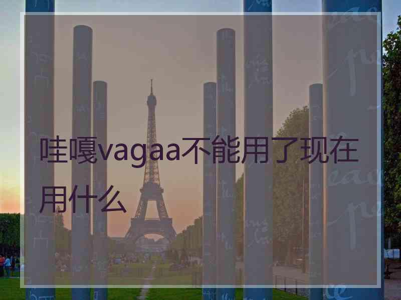 哇嘎vagaa不能用了现在用什么