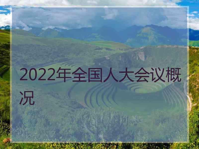 2022年全国人大会议概况