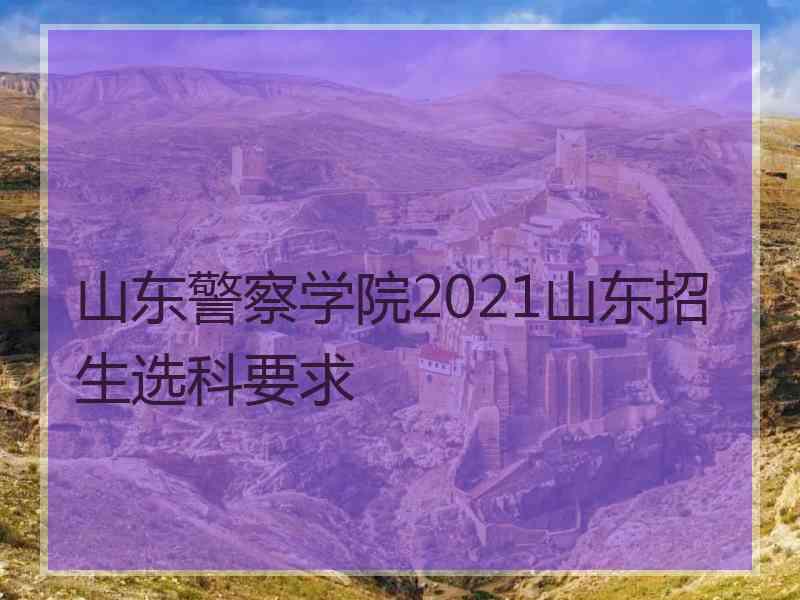 山东警察学院2021山东招生选科要求